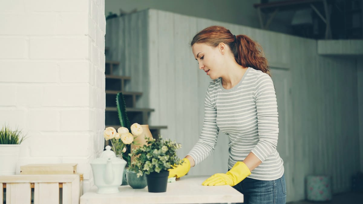 Best Cleaning Services in St. Catharines [2026 Guide]
